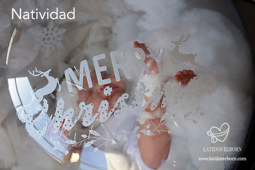 15 NATIVIDAD logo
