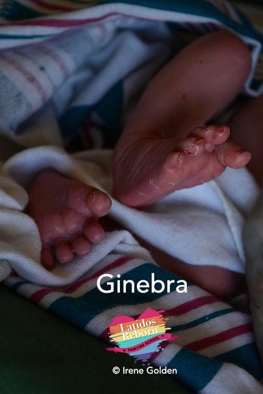 17 GINEBRA logo