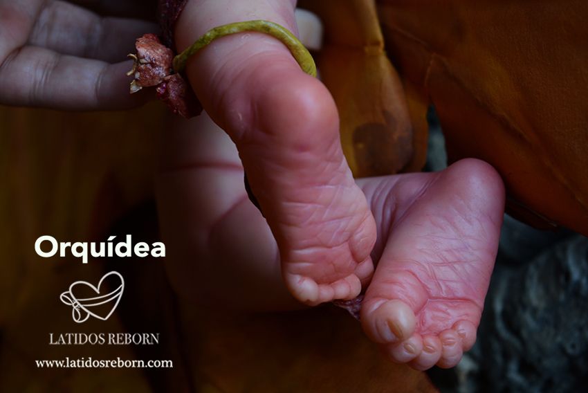 18 ORQUÍDEA PIES logo