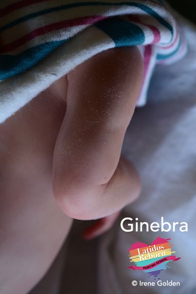 21 GINEBRA logo