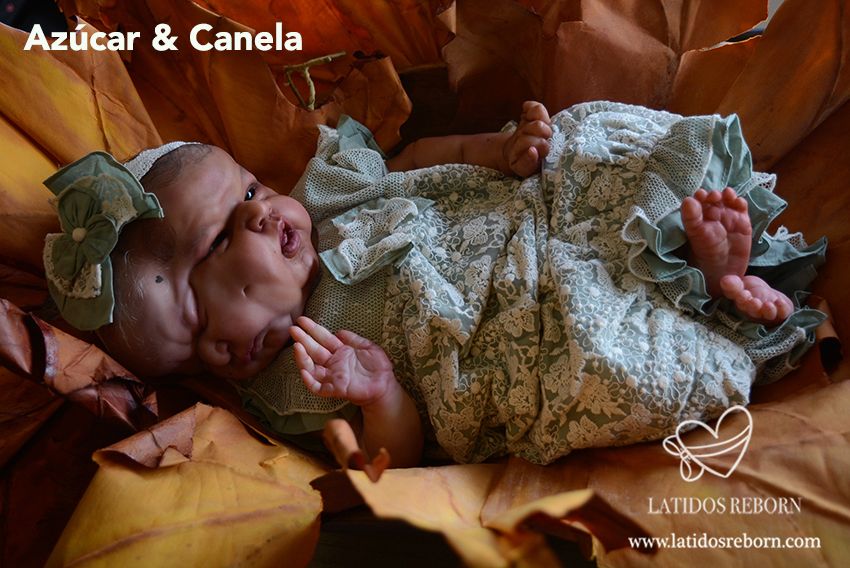 29 AZÚCAR & CANELA logo