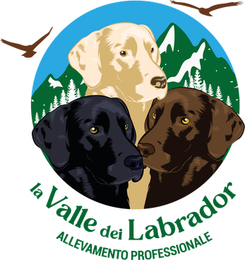 La Valle dei Labrador