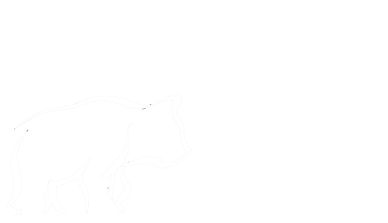 Lilla Björnen Bau Berlin