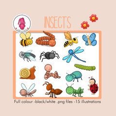 Insects