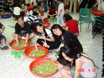2006年4月汐止支會婦女會舉辦的脆梅活動