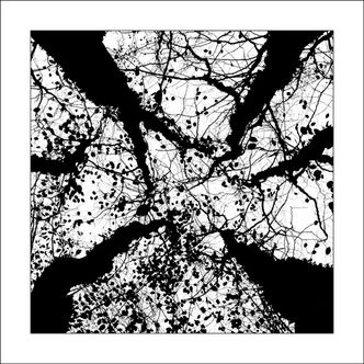 30x30-Arbres-7105a-2_5