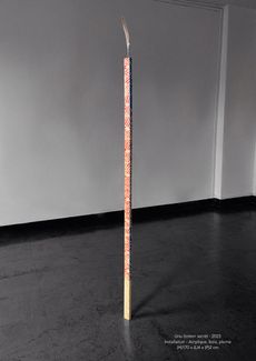 EVRARD CHAUSSOY_UNU_170X4X2