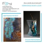 BERTRAND PEYROT ET SYLVIE FREYCENON