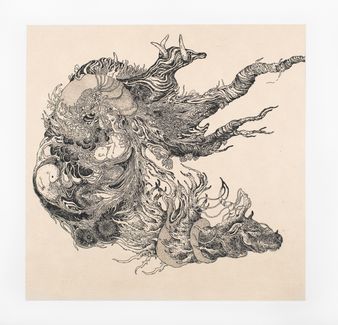 Mutations VII - Kim COZ
