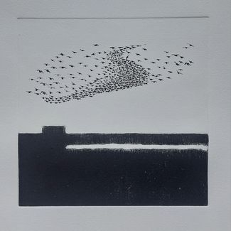 OLIVIER BRUNOT_MURMURATIONS 1_30X30