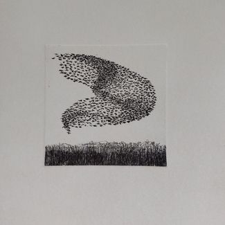 OLIVIER BRUNOT_MURMURATIONS 2_30X30