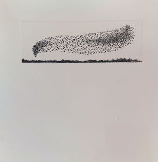 OLIVIER BRUNOT_MURMURATIONS 3_30X30