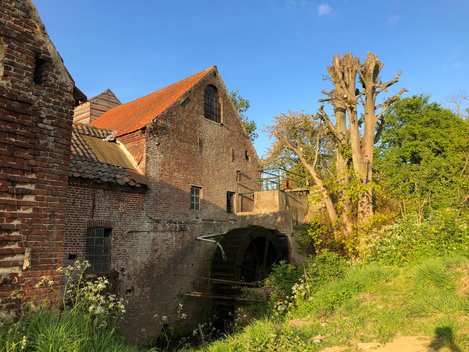 EEN OVENBUUR(T) HERRIJST! EEN OVENBUUR(T) HERRIJST!