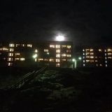 Nuuk