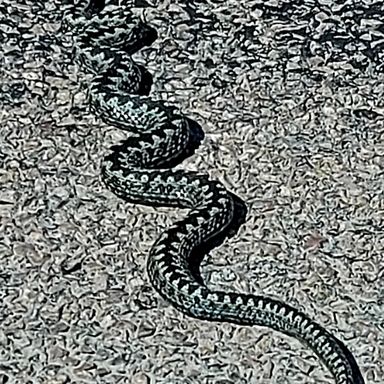 IMG_20220515_145708_769