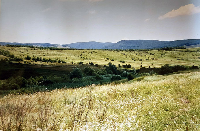 transylvania_X