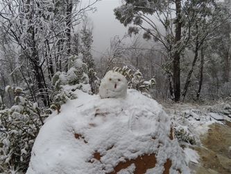 Blue Mountains - Winter Wonderland 2021