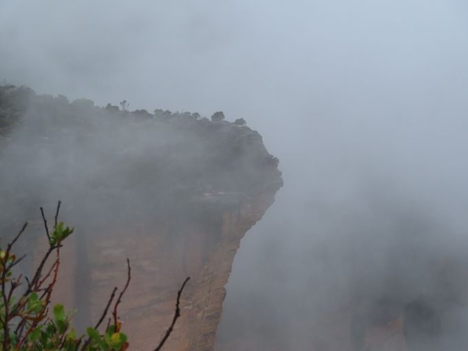The mist maker