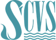 Swansea Council for Voluntary Service
