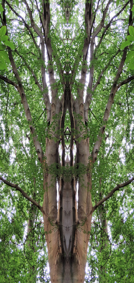 Mystischer Baum