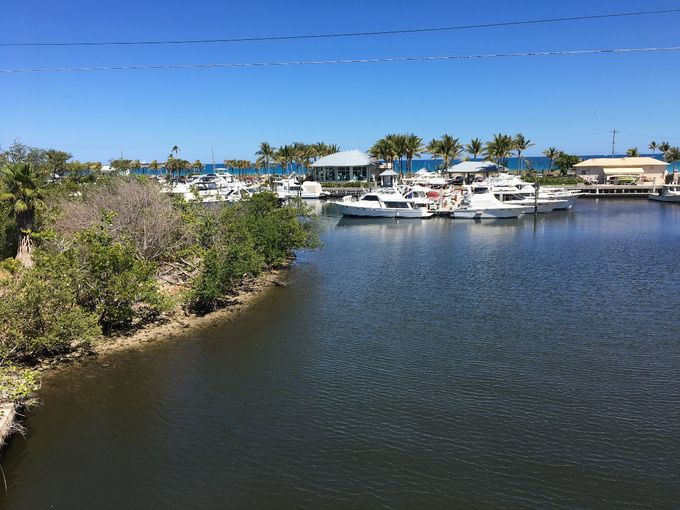 De nombreuses marinas dans l'Intercoastal Waterway abritent des embarcations.