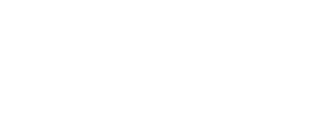 logotyp leer perfomance