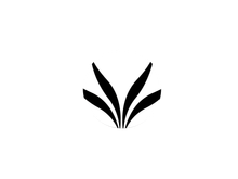 LEGUMES