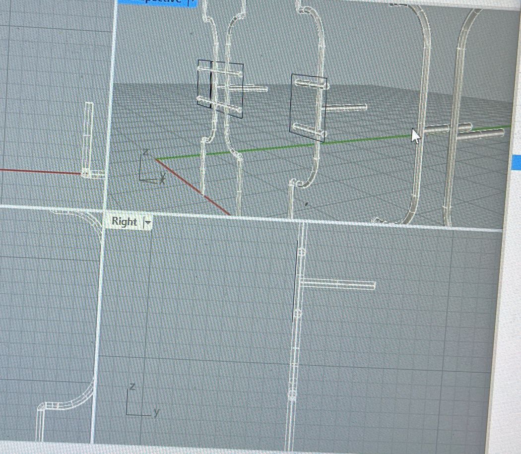 Lupin, Flougère, Genêt by Susanne Kriemann_6