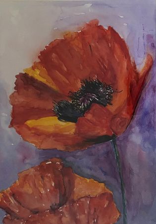 162. Valmuer på lilla