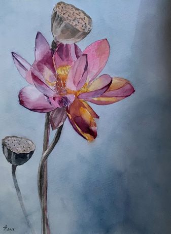 173. Lotus i tåge