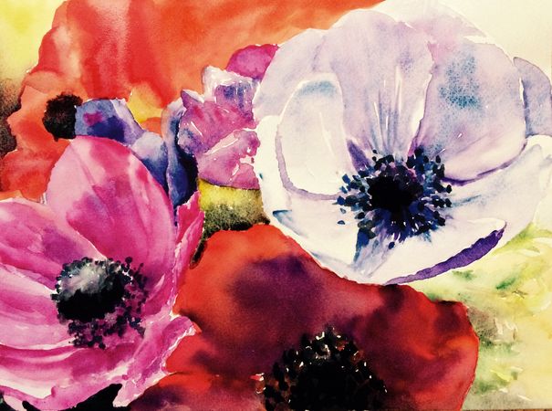 73. Franske anemoner