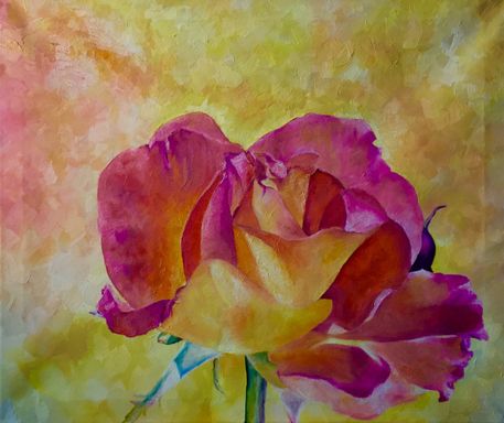 Gul-pink rose