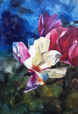 Magnolia 1