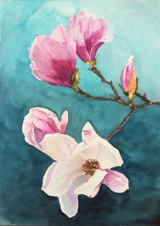 44. Magnoliagren 2