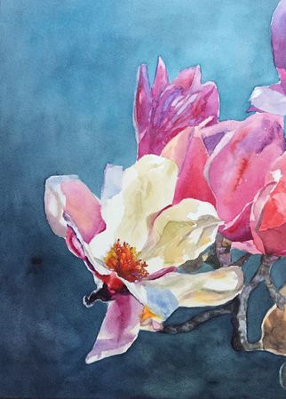 42. Magnoliagren3