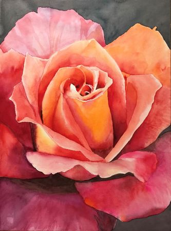 159. Orange rose på sort