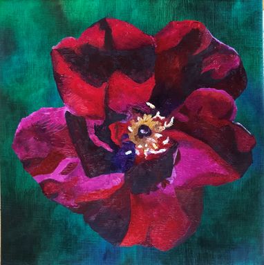Rose 1