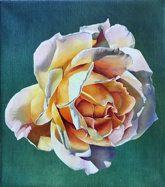 Rose 4