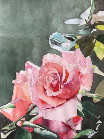 16. Rose på grøn 2
