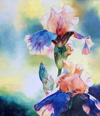 To- farvet iris