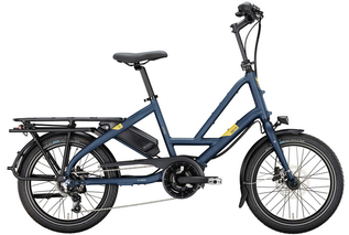 Tern Backpacker