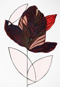 Tulipa llll