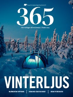 365Swe_0125