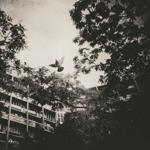 IMITATION OF LIGHT