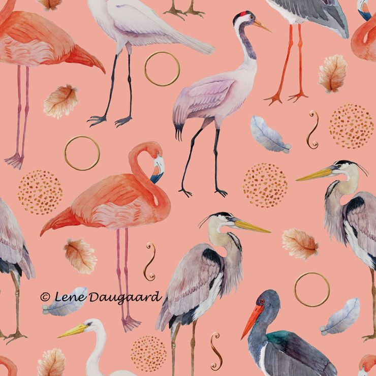 LargeBirds-R