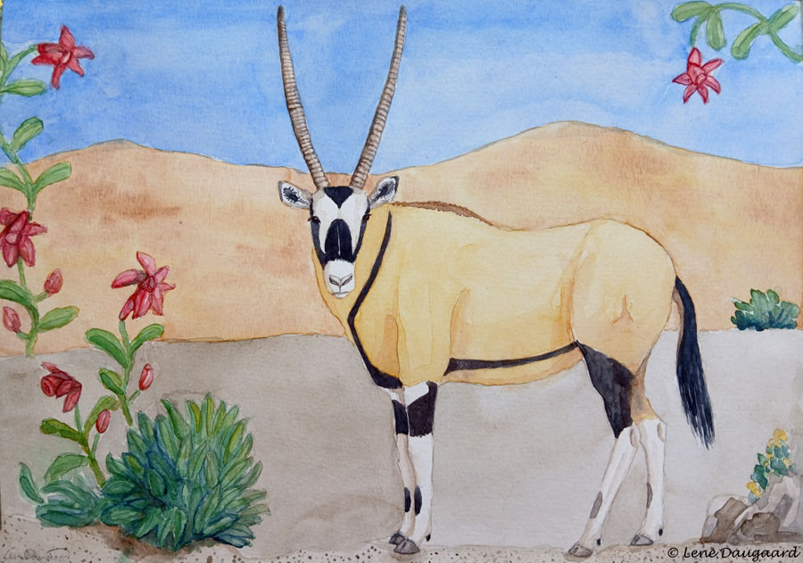 Oryx. Serie: Happy Hooves