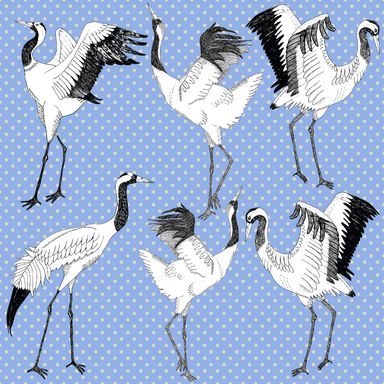 cranes_tranerBlue
