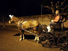 Premier 8 décembre à Jonage pour Girolle