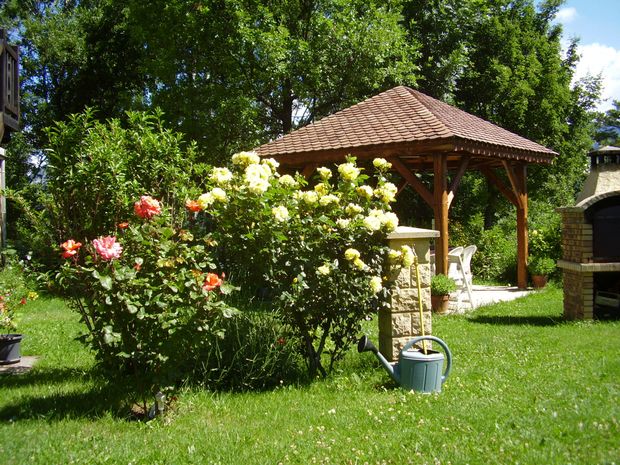 Le jardin