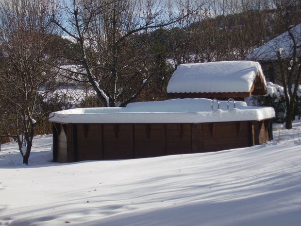 Le jardin en hiver